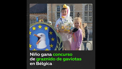 Niño gana campeonato europeo de graznido de gaviotas en Bélgica