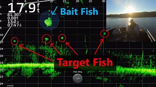 Finding and Catching Suspended Fall Crappie!!! Full-Screen LiveScope Fishing Footage!!! Trip #13