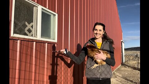 Chicken Coop Tour | DIY Feeder and Must Haves For A Self Sufficient Flock