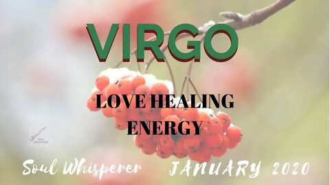♍ VIRGO ♍ LOVE HEALING: Too High Standards Can Close Off Love * January 2020