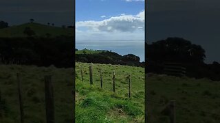 Cactus Bay on Waiheke Island