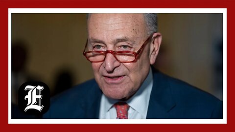 Schumer antisemitism Senate speech digs at young liberal protesters: 'Learn the history'