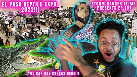 El Paso Reptile Expo 2022 BEST ON YOUTUBE!!!