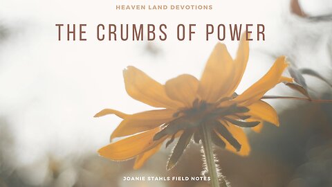 Heaven Land Devotions - The Crumbs of Power