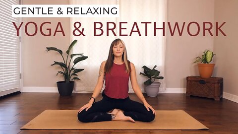 Beginners Yoga | Gentle Relaxing Breathwork for Wellbeing with Stephanie
