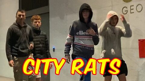 Sydney City Rats