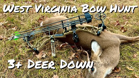 West Virginia White-tail Bow Hunt | 2023 Bow Season