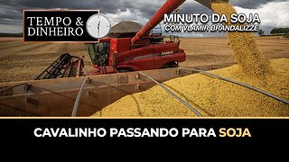 Cavalinho passando para Soja