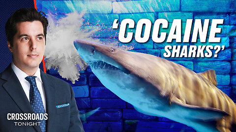 EPOCH TV | ‘Cocaine Sharks’ and ‘Feminized Fish’—What’s Going On With Our Water?