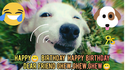 Dog Funny Song 😭 | Happy Birthday Dear Friend - Dog Song 😁😁