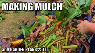 Potted Ginger, Making Mulch, & Garden Plans 251.0 🤔