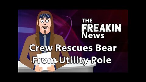 Bear In Arizona Gets Trapped In Power Pole Lines – The FREAKIN News
