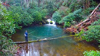 Fishing the most BEAUTIFUL Trout Water on Earth!! (Streamer Fishing)