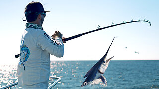 Fastest Marlin Ever Hooked