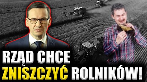 Rząd chce ZNISZCZYĆ rolników! Foryś: Na ich miejsce wejdą ZAGRANICZNI producenci