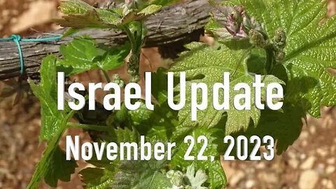 Israel Update November 22, 2023