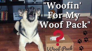 Dog Subscription Box 2021| My Dog Opens The Box and Does a Taste Test