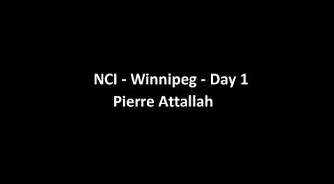 National Citizens Inquiry - Winnipeg - Day 1 - Pierre Attallah Testimony