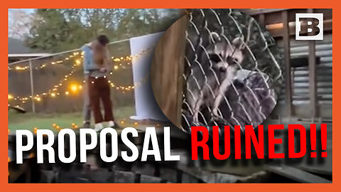 Proposal Ruined??! TikToker Films Raccoon Instead of Key Moment!