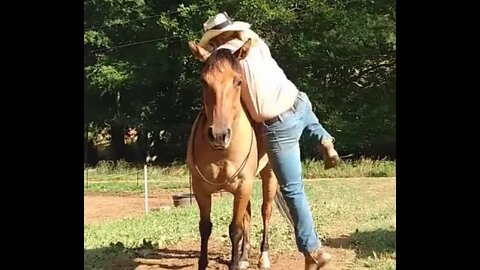 Riding Bareback and Bridle less on Allie the Wonder Horse