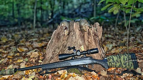 Squirrel Hunting with 17 HMR - Bergara BMR