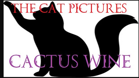 The Cat Pictures - Cactus Wine