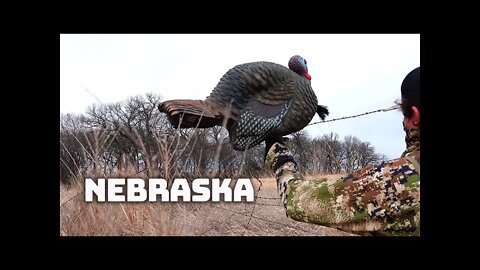 Nebraska Public Land Turkey Sneak