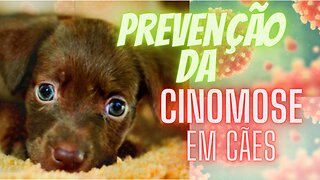 Prevenção da CINOMOSE em cães