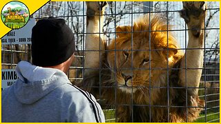 Animals being freed from captivity