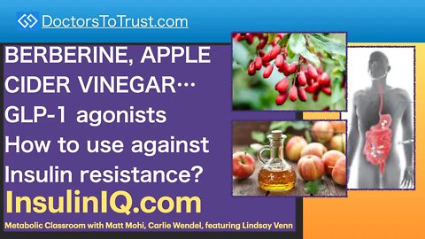 InsulinIQ.com 2 | BERBERINE, APPLE CIDER VINEGAR…GLP-1 agonists How they fight Insulin resistance?