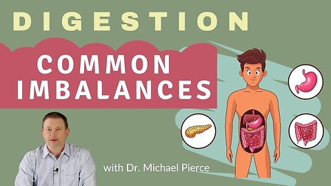 Digestion Series - Common Digestive Imbalances Explained. Is it stomach acid or bile?