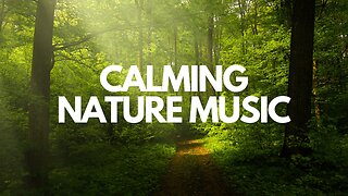 Relaxing and Calming Nature Music
