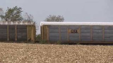 Norfolk Southern Intermodal/Autorack Train from Omar, Ohio September 27, 2021