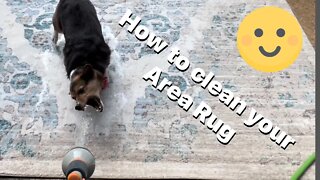 How to clean an area rug outside