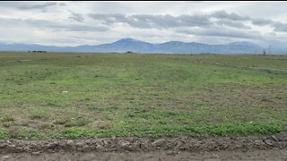 Heavy snowpack and recent storms may not translate to more farm water