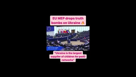 EU MEP Drops TRUTHBOMB in Ukraine!