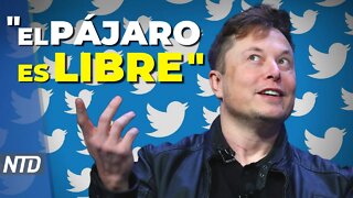 Musk compra Twitter y despide a directivos; Trump visita estados indecisos antes de elecciones | NTD