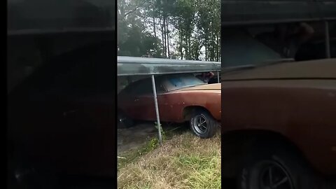 Saved a 69 Dodge Charger R/T out of its final resting place after 30 years….