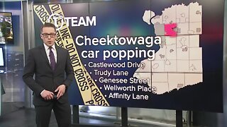 Crime Trends: Cheektowaga and Grand Island