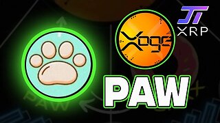 Paw (Xoge) - Pealing Back The Layers of this Multilayered Crypto Asset