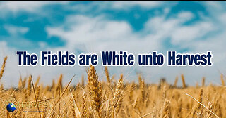 The fields are white unto harvest