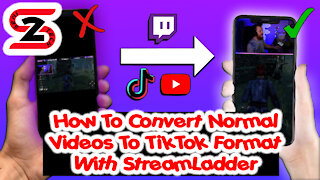 How To Convert Normal Videos To TikTok Format With StreamLadder