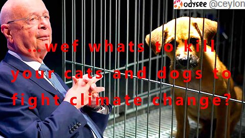 …wef whats to kill your cats and dogs to fight climate change?