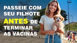 Como socializar um filhote antes da conclusão do ciclo de vacinação