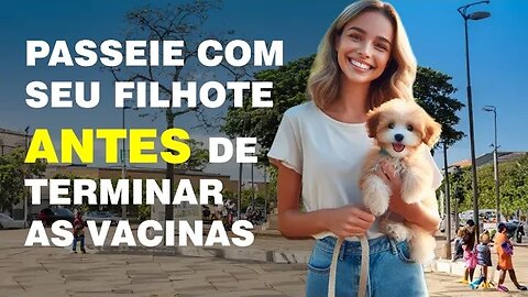 Como socializar um filhote antes da conclusão do ciclo de vacinação