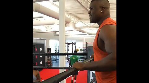 Francia Ngannou Meets Deontay Wilder