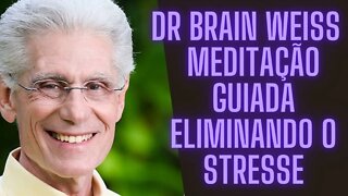 🧠🧘‍♀️Dr Brain Weiss - Meditação Guiada Eliminando o Stresse.