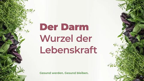 03. Der Darm - Wurzel der Lebenskraft # Heidi Kohl # Gesund werden. gesund bleiben.