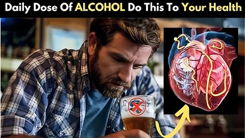 What Happens to Your Body When You Drink Alcohol Every day in 2023?