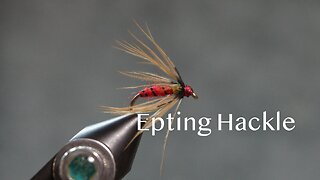 Epting Hackle (from Favorite Flies by Mary Orvis Marbury)